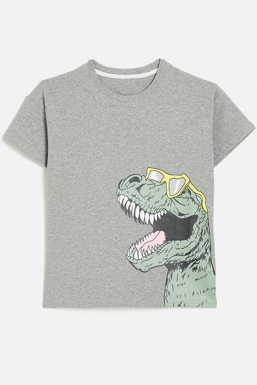 Dino print tee - grey