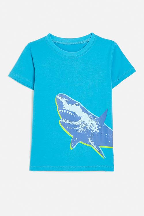 Shark graphic tee - dark cyan blue