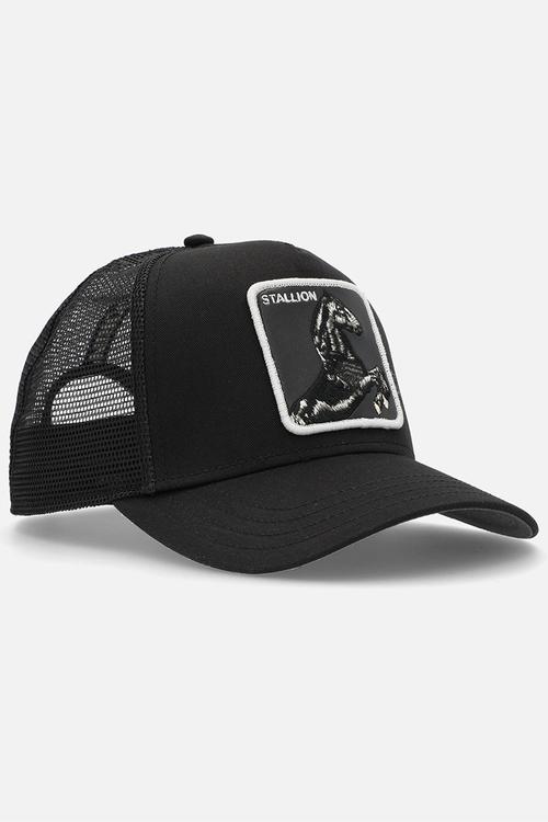 Stallion - black