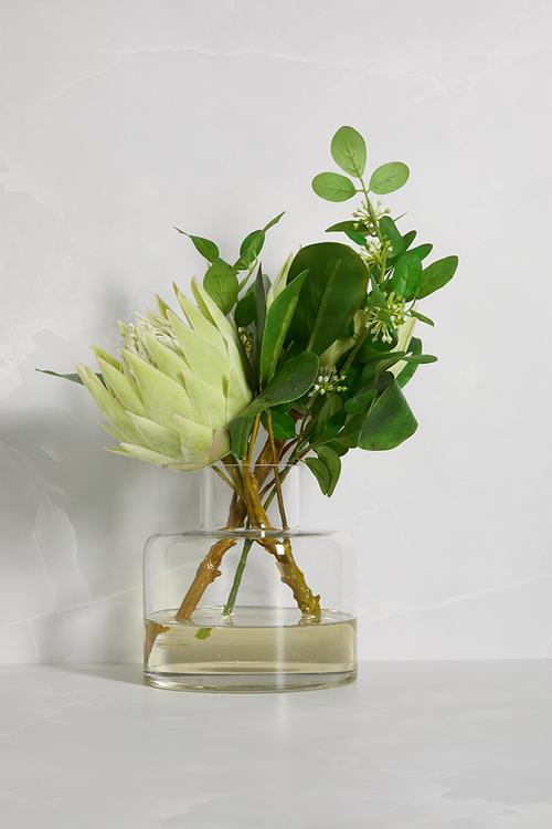 Protea green with foliage in jar vase
