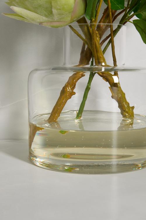 Protea green with foliage in jar vase