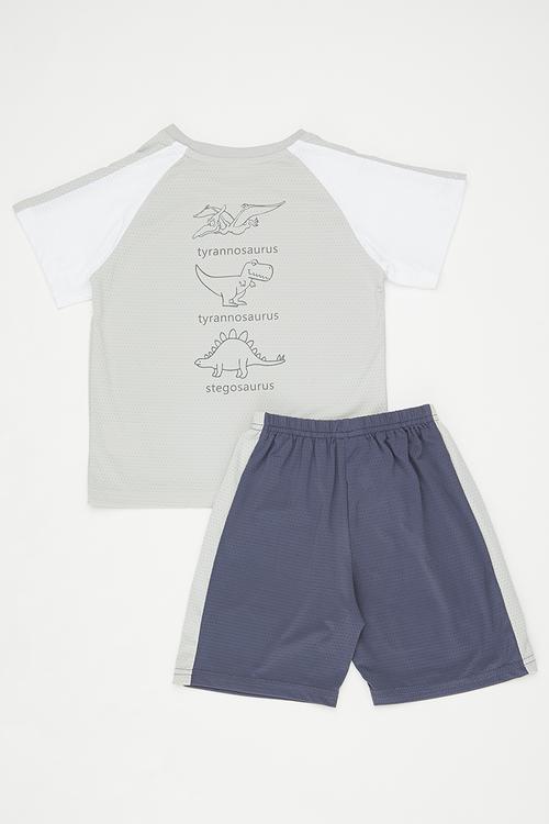 Tyrannosaurus placement print tee with shorts - multi