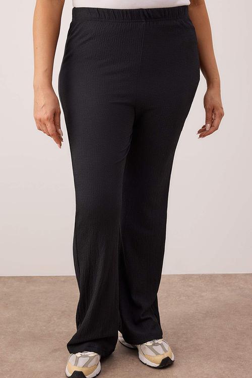 Plus size high waist flare leg pants - black