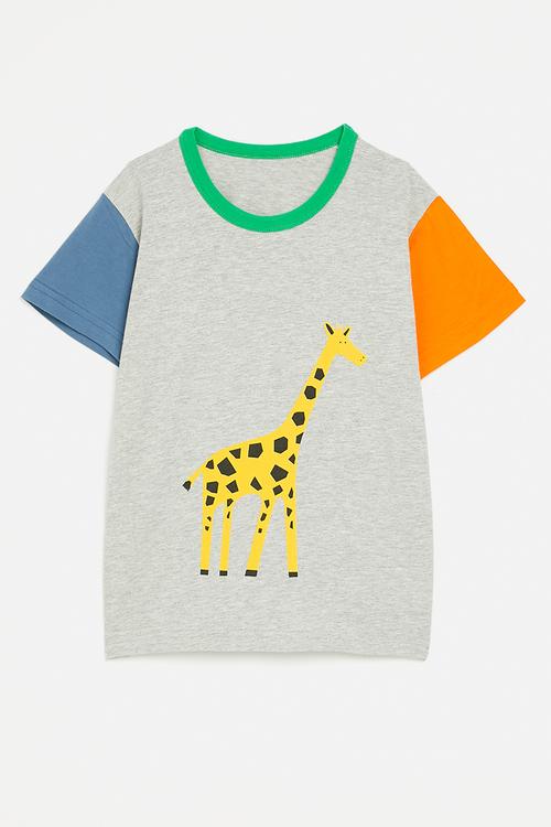 Colour block tee with giraffe graphic - grey/multi