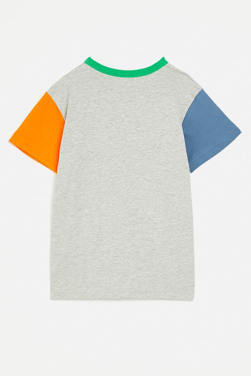 Colour block tee with giraffe graphic - grey/multi