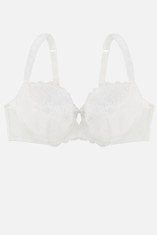 Plus celine non padded bra - ivory
