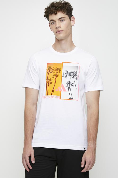 Tree Photos Tee - White