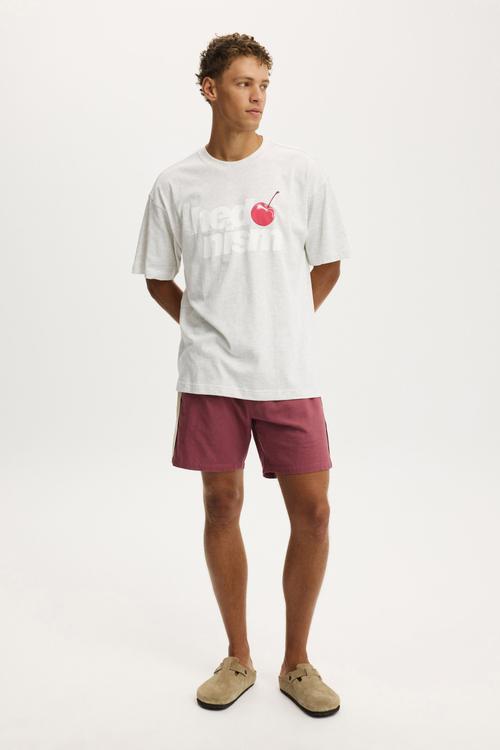 Box Fit Graphic T-shirt - White Marle/Hedonism