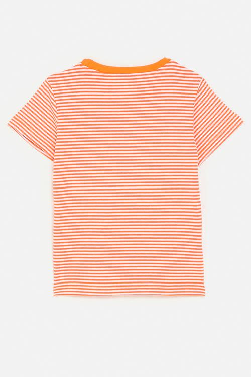 Candy striped tee with multi detail dino graphic - orange