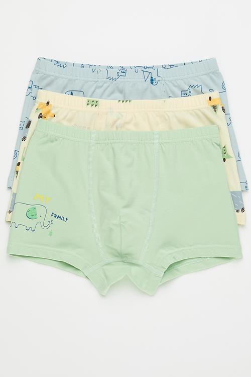 3 Pack briefs - green/blue