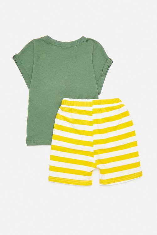 Lemon set - green & yellow