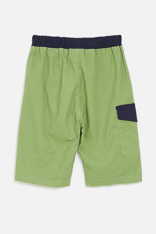 Shark shorts - green