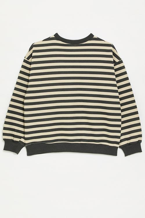 Sweatshirt with cargo pocket - mud brown/beige stripes