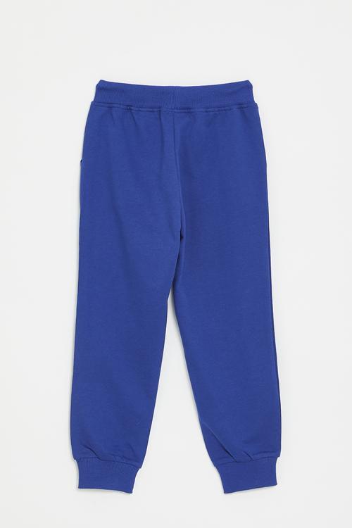 Printed jogger - royal blue/cars