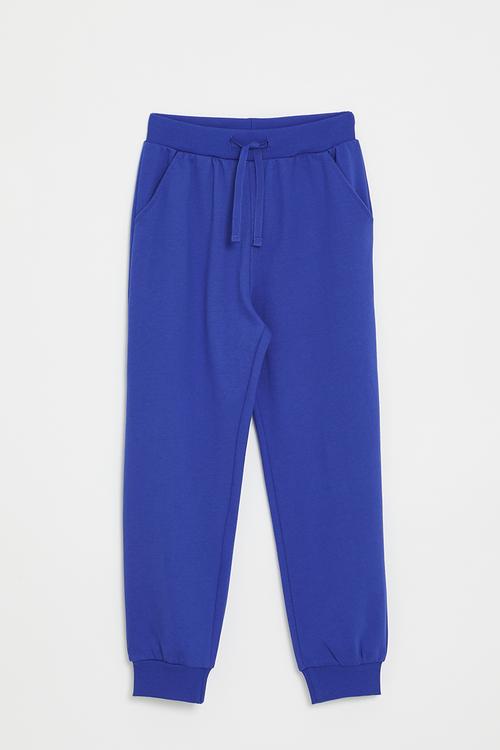 Plain jogger - cobalt blue