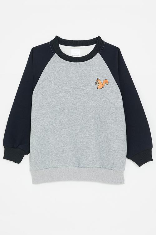 Raglan sleeve tee - navy blue/grey