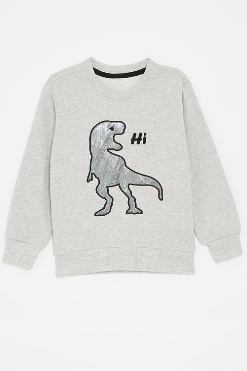 Printed sweatshirt - grey/dino