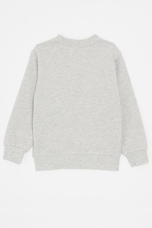 Printed sweatshirt - grey/dino