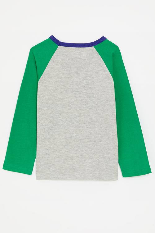 Extraterrestial beings graphic t-shirt - grey/green