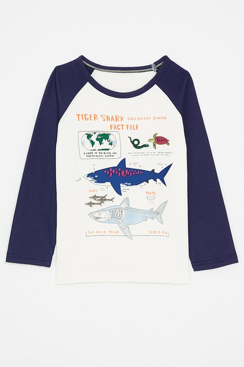 Tiger shark graphic print tee - navy/white