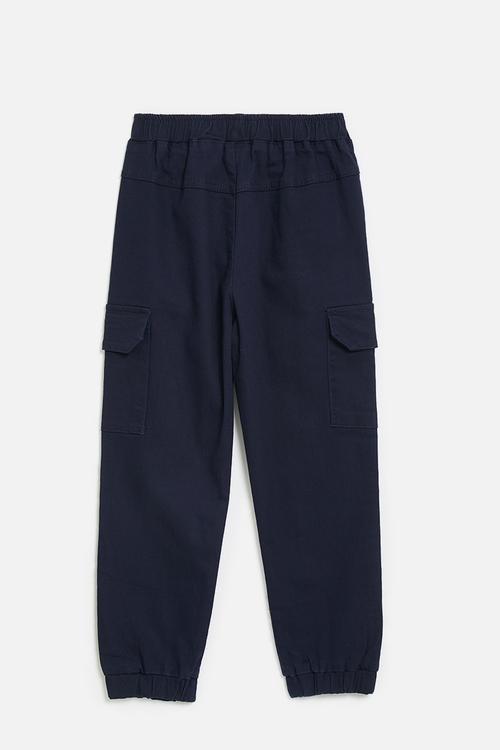 Printed pants - navy/red