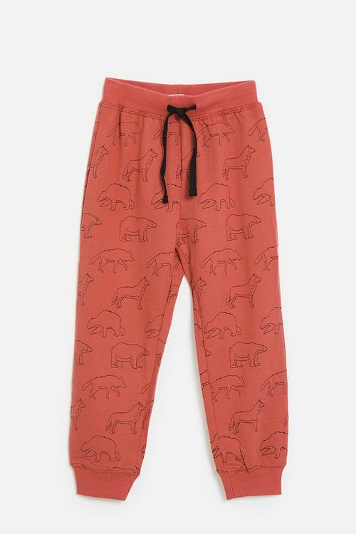 Joggers - flame red/dinos
