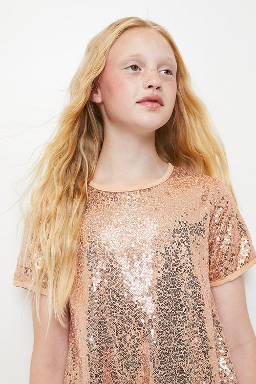 Short sleeve occasion dress - taupe/sequins