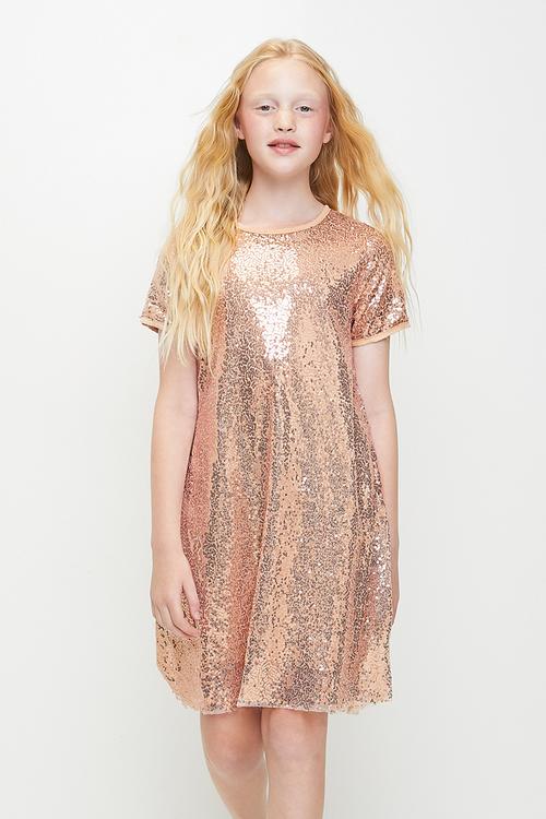 Short sleeve occasion dress - taupe/sequins