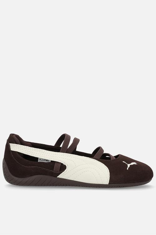 Speedcat Ballet SD Cafe Wns - Dark Chocola
