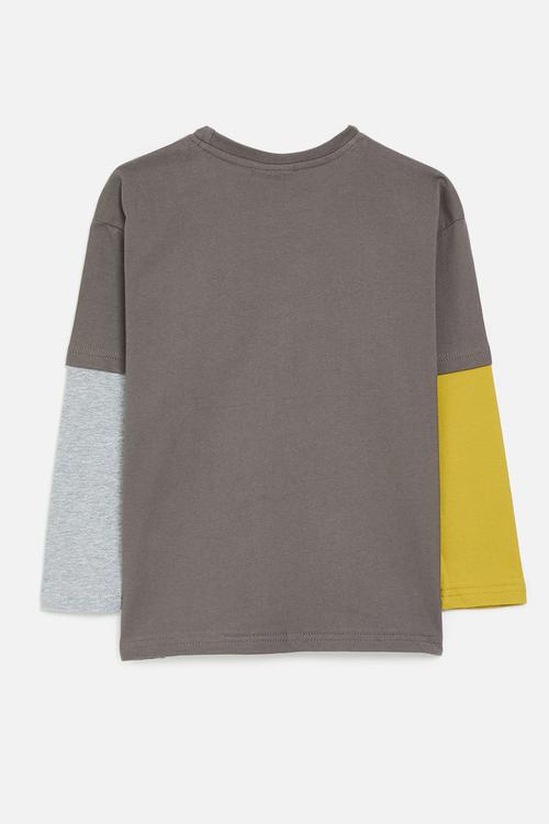 Contrast sleeve twofer tee with pocket squirrel - grey brown