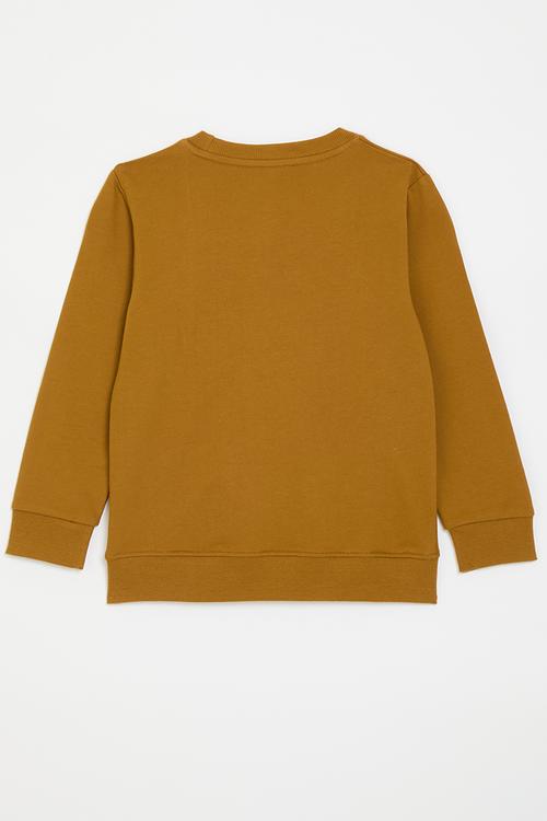 Chenille embroidered sweatshirt - ginger/multi