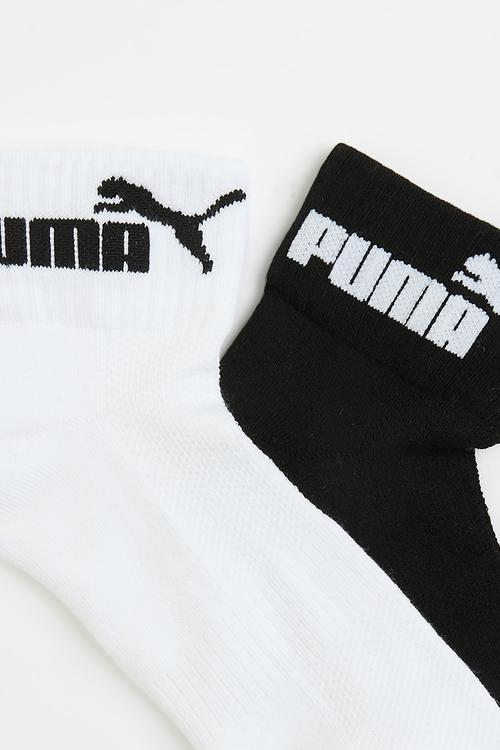Ladies 2 Pack Low Cut Graphic Sock - White/Black