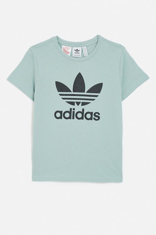 Youth Trefoil T S26 - Wonder Sage