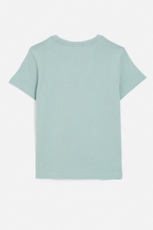 Youth Trefoil T S26 - Wonder Sage
