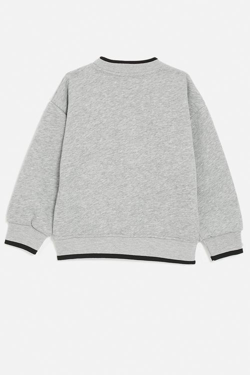 Brave sweatshirt - grey