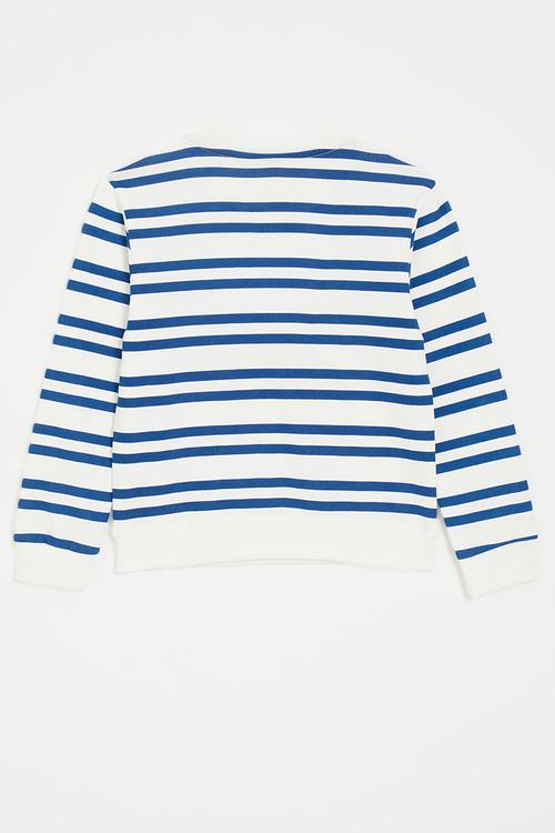 Embroidered animals graphic sweater - blue stripes