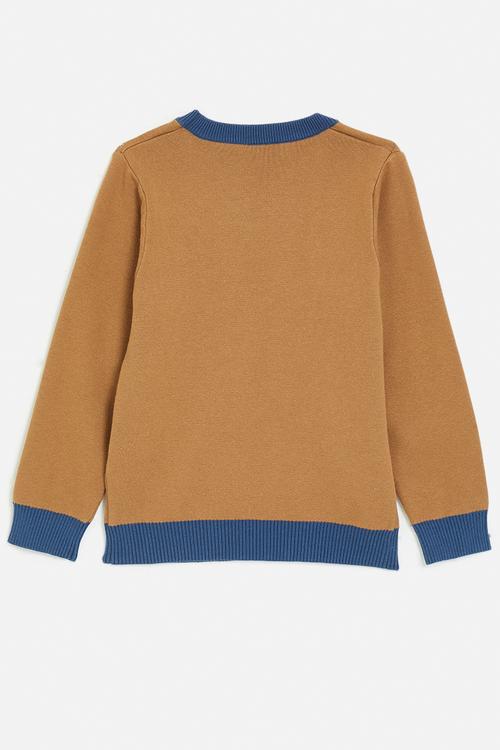 Contrast rib sweatshirt - brown/blue/multi