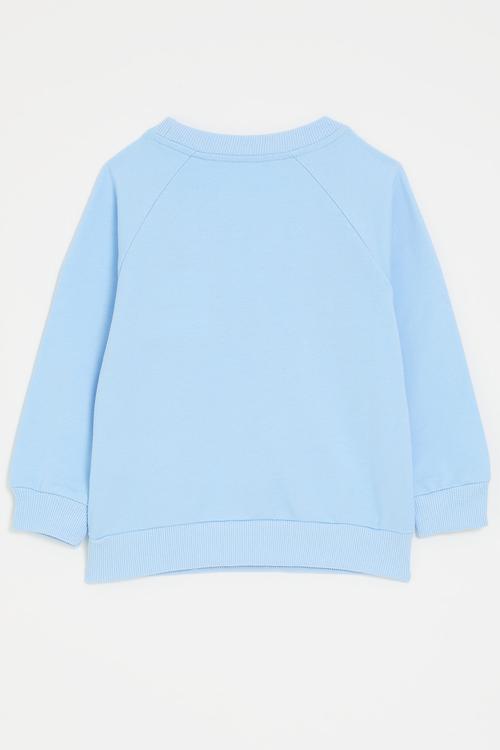 Elephant graphic raglan sweatshirt - columbia blue