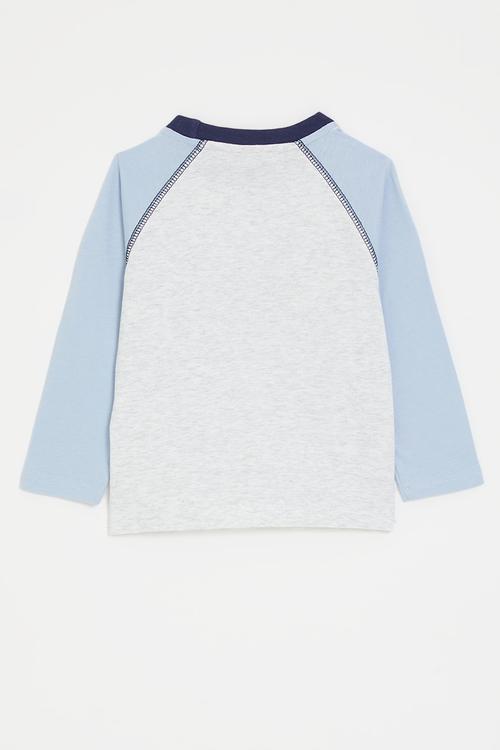 Chenille embroidered raglan sleeve tee - blue/pale grey/dachshund