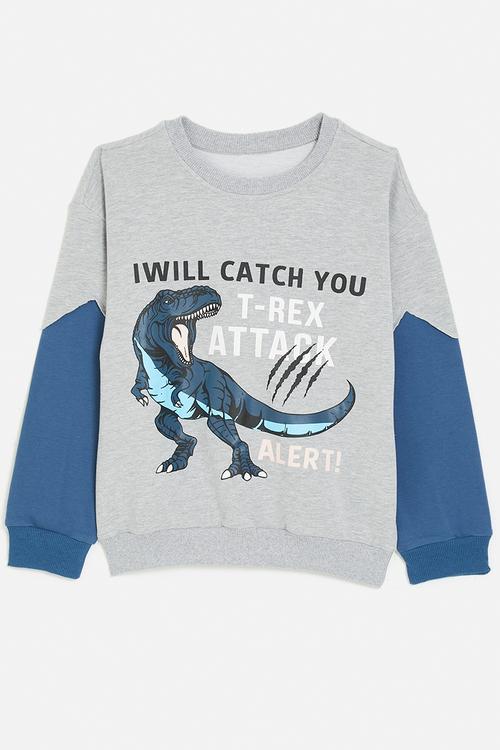 T-rex graphic and slogan sweatshirt - grey/blue