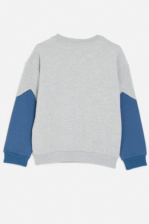 T-rex graphic and slogan sweatshirt - grey/blue