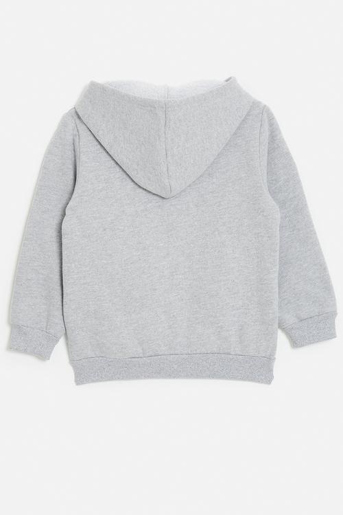 3D embroidered dino patch hoodie - light grey/roar