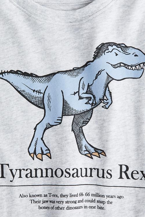 Motif-detail cotton T-shirt - light grey marl/dinosaur