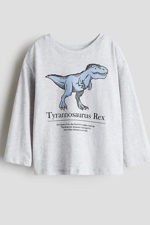 Motif-detail cotton T-shirt - light grey marl/dinosaur