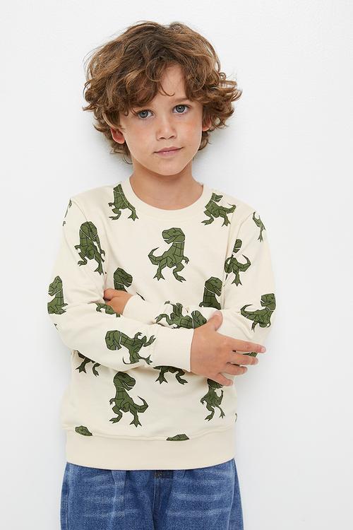 Printed sweatshirt - off white/dino