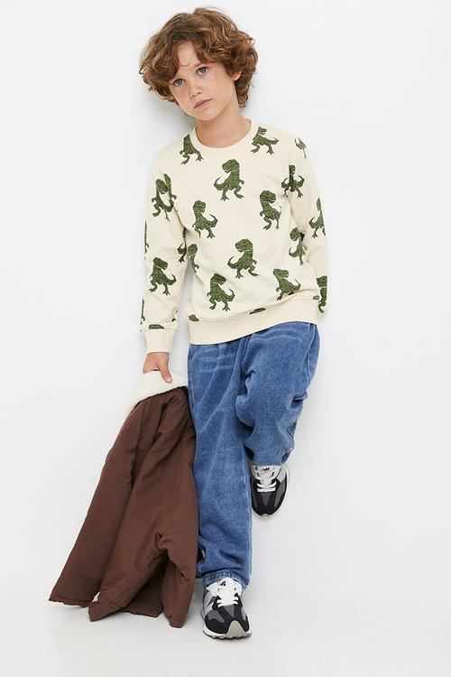 Printed sweatshirt - off white/dino