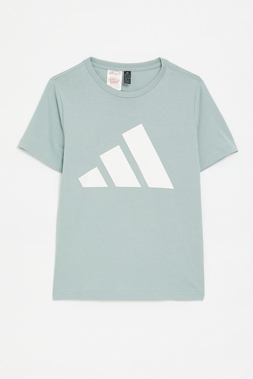 J Bl Tee 160 S26 - Wonder Sage/White