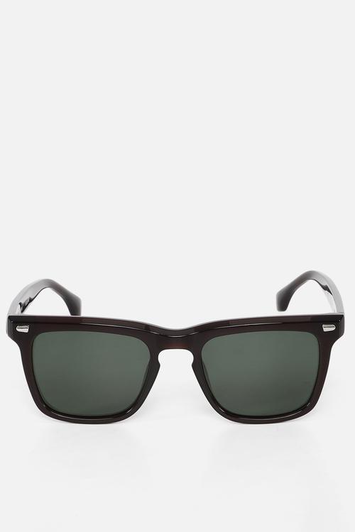 Pringle Polarized Sunglasses 52mm - Shiny Dark Brown