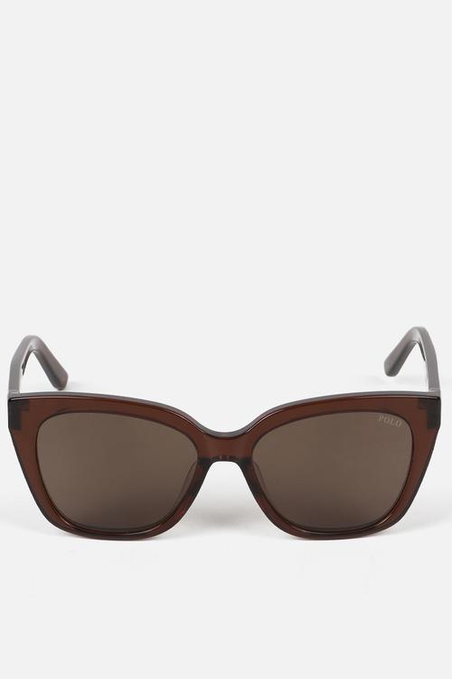 Clara Polarized Sunglasses 53mm - Brown