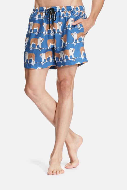 Surf's up swim shorts